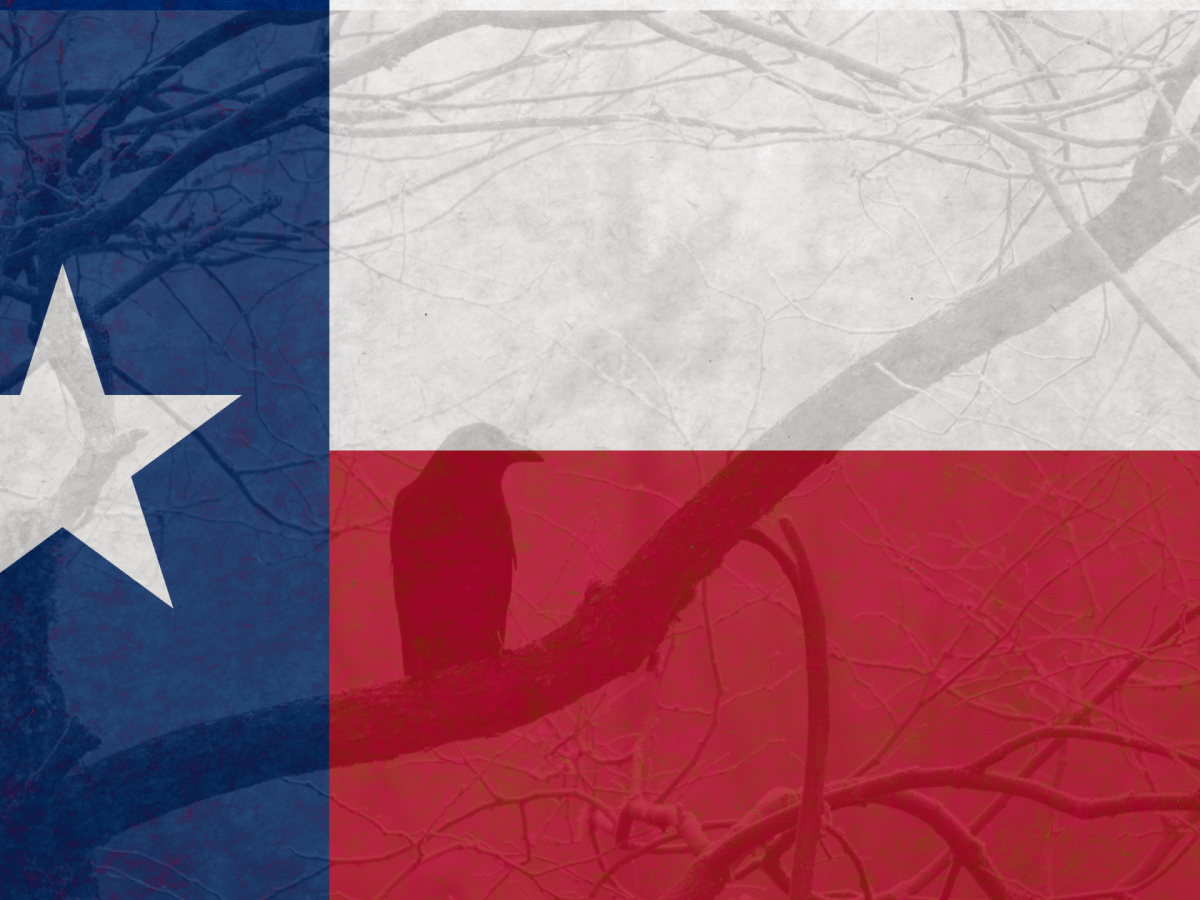 A River of Crows-Lone Star Literary Life&nbsp;Review