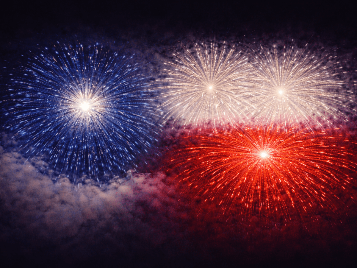 The Bone Nest-Lone Star Literary&nbsp;Life