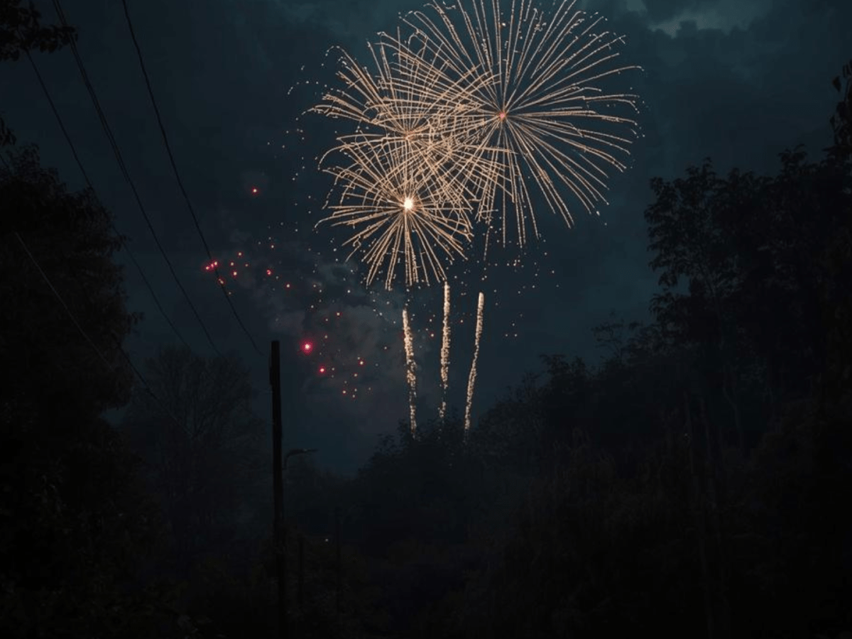 The Bone Nest Early Review-Kathryn Brown&nbsp;Ramsperger